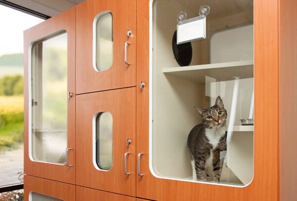 Raintree Cat Condos®