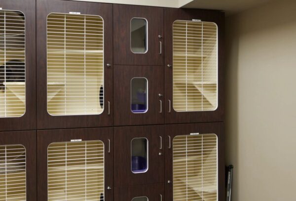 Raintree Cat Condos® - Image 2