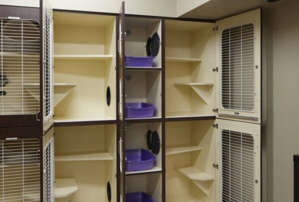 Raintree Cat Condos® - Image 3
