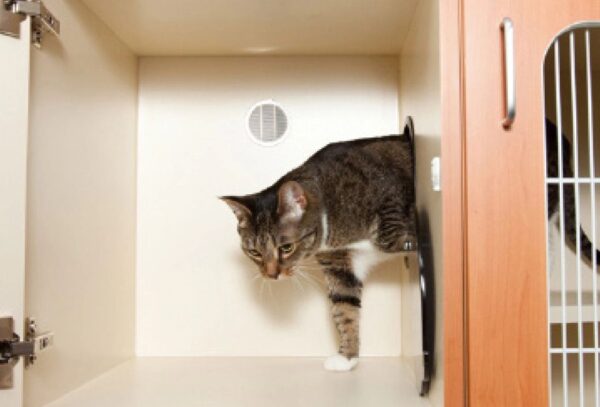 Raintree Cat Condos® - Image 5