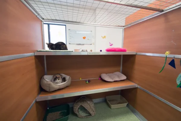 Cat Towers - Image 2
