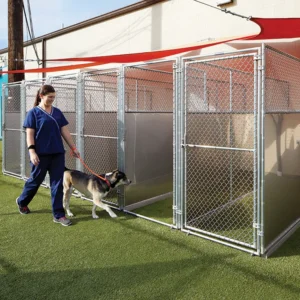 Chain-Link Kennel Runs