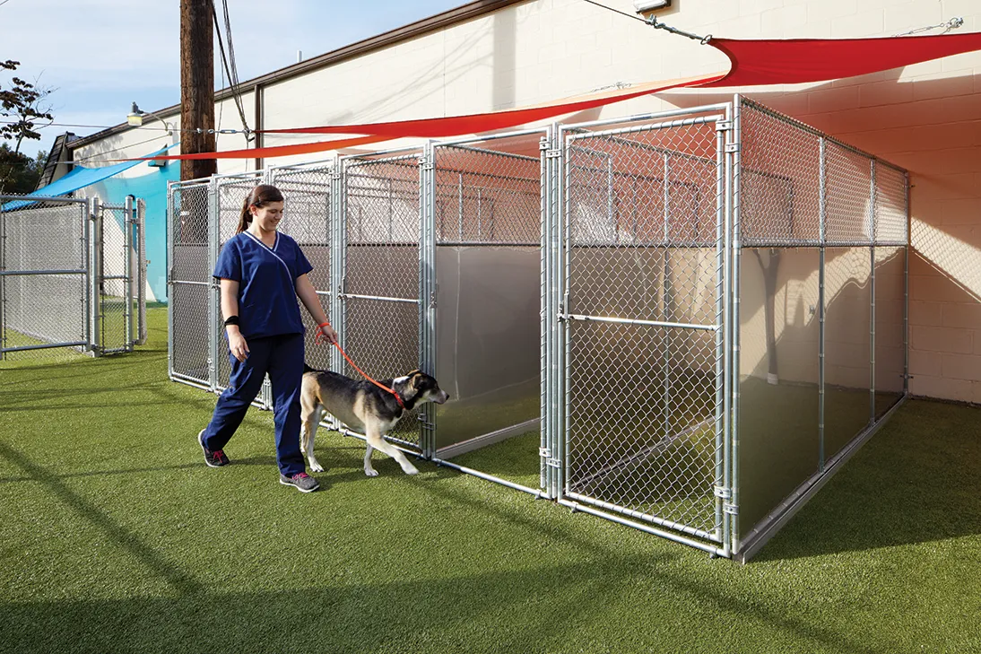 Chain-Link Kennel Runs