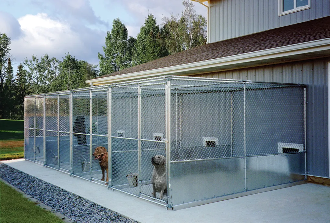 Chain-Link Kennel Runs - Image 2