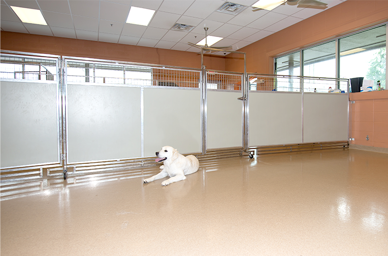 Dog Daycare Room Dividers - Image 5