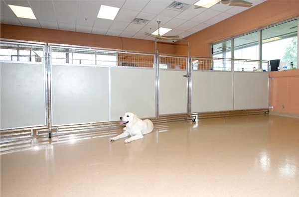 Dog Daycare Room Dividers - Image 6