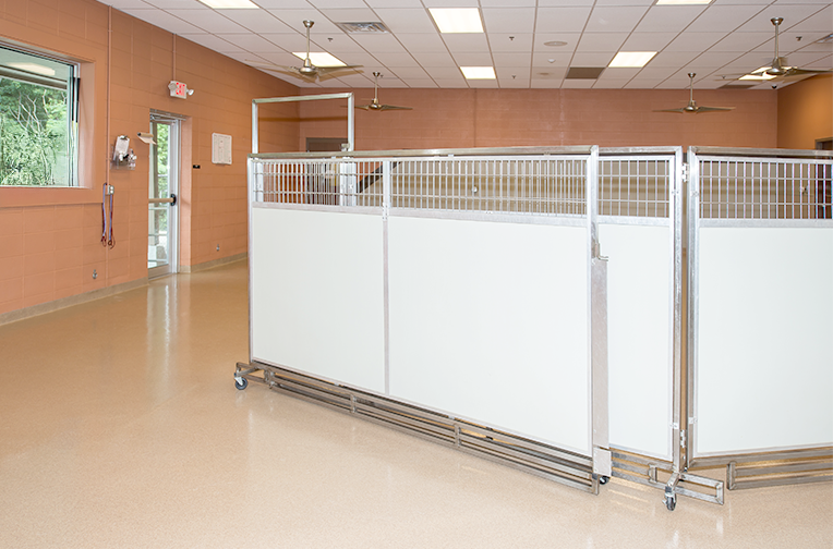 Dog Daycare Room Dividers - Image 4