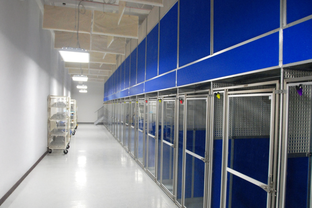 Modular 2-Story Double-Deck Kennels
