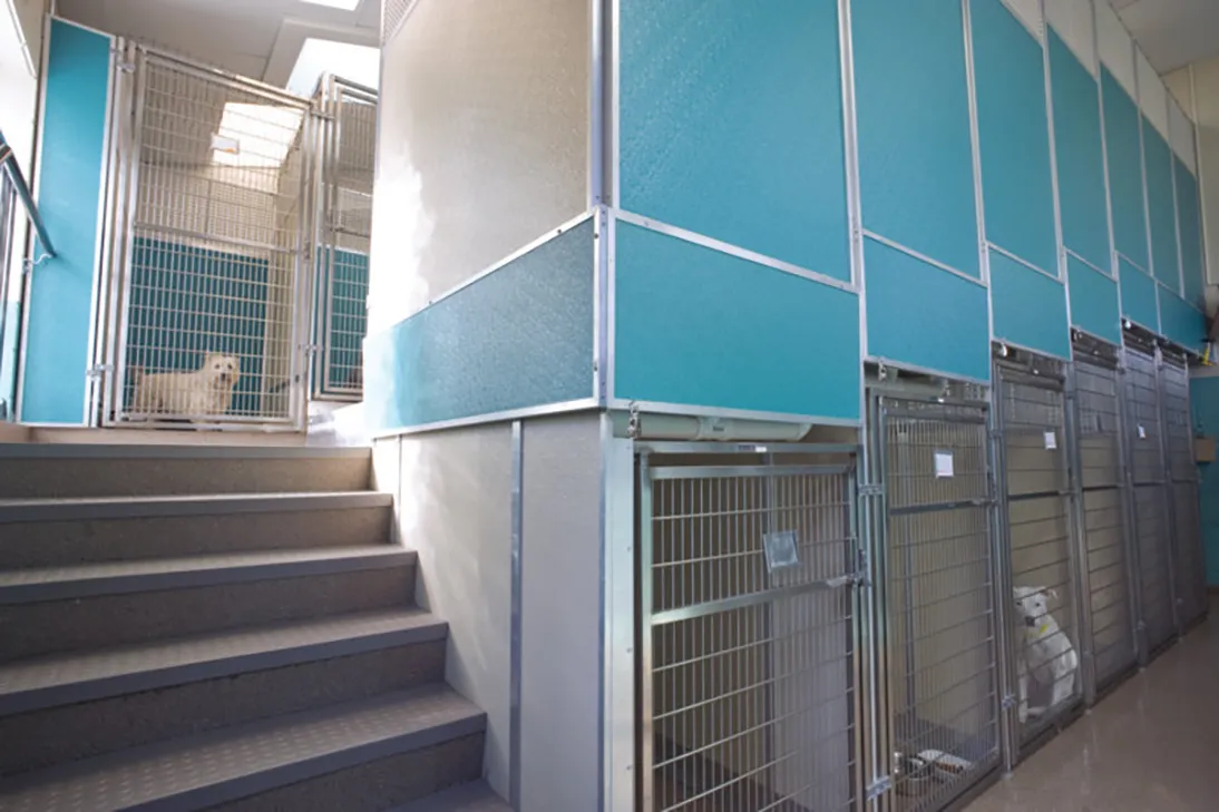 Modular 2-Story Double-Deck Kennels - Image 2