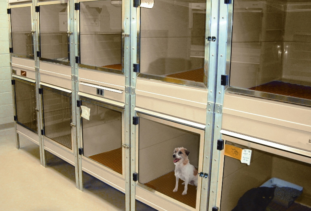 ISO‑Care™ Quarantine Cages
