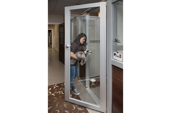 Luxury Walk-In Dog Suites - Image 2