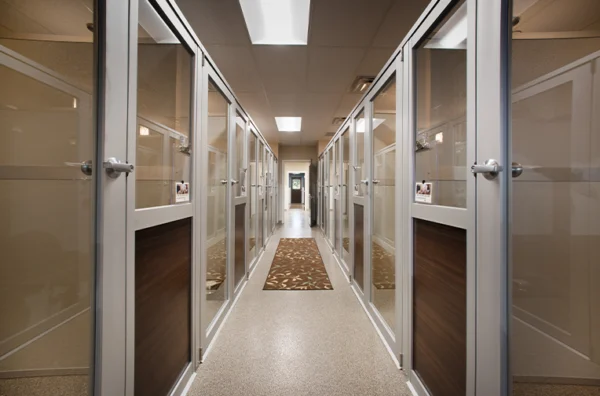 Luxury Walk-In Dog Suites