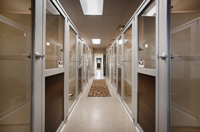 Luxury Walk-In Dog Suites