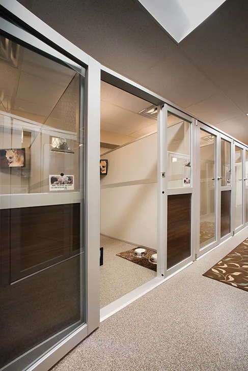 Luxury Walk-In Dog Suites - Image 3