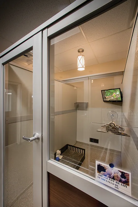 Luxury Walk-In Dog Suites - Image 5
