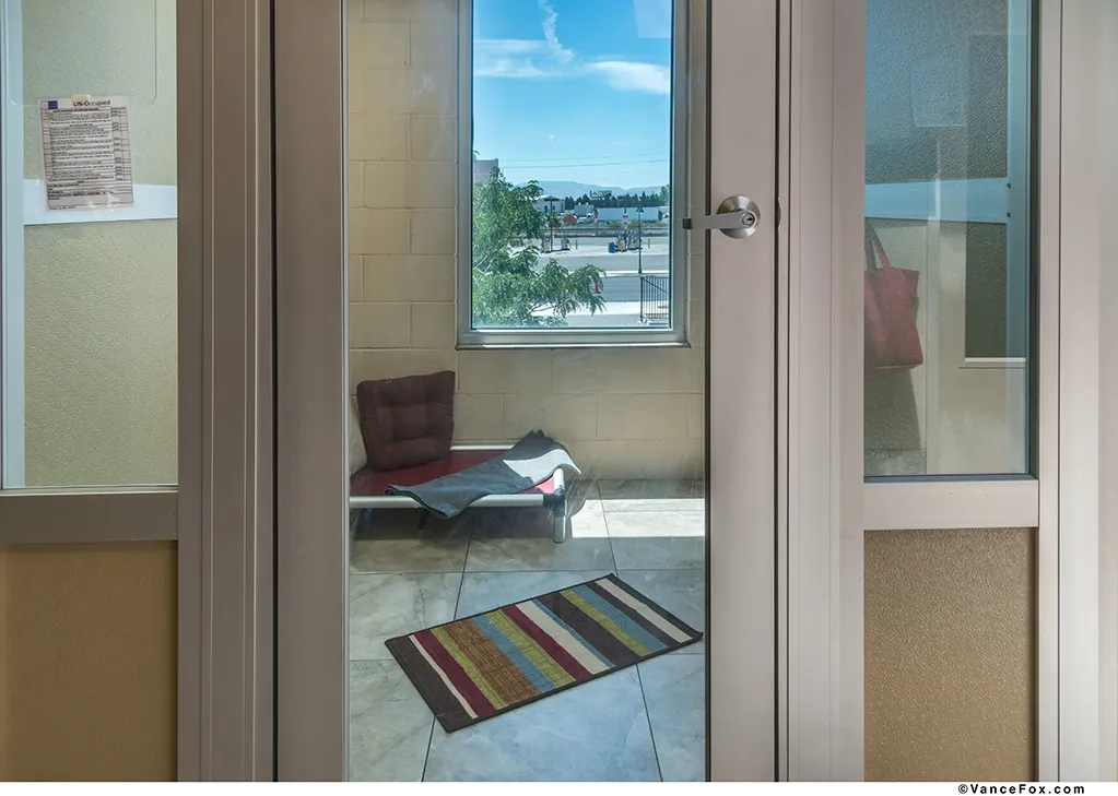 Luxury Walk-In Dog Suites - Image 4