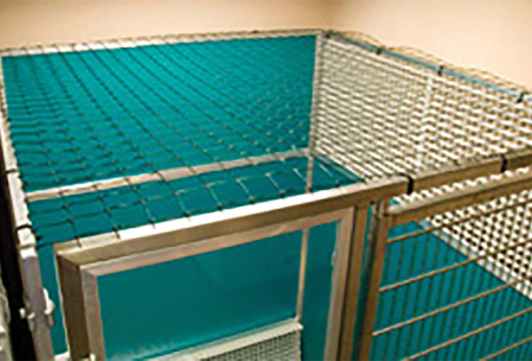 Modular 2-Story Double-Deck Kennels - Image 7