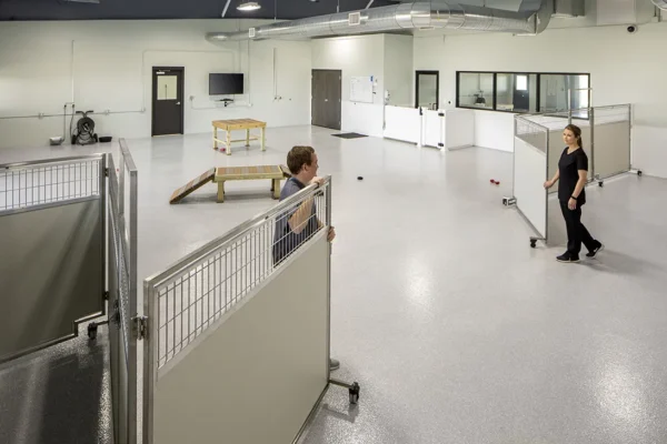 Dog Daycare Room Dividers
