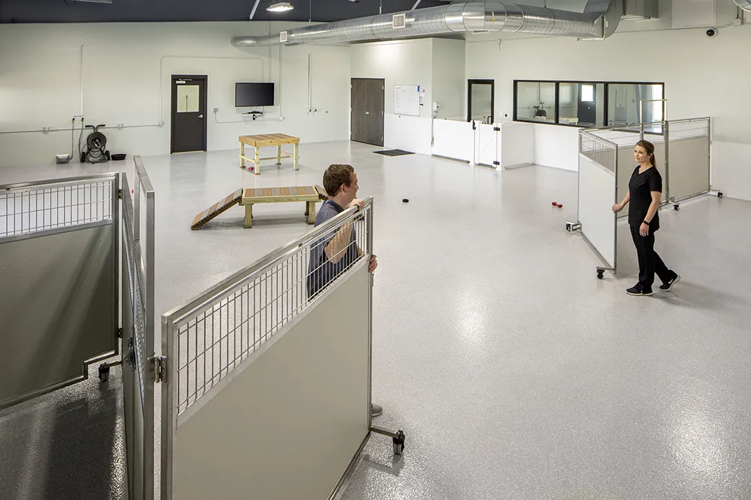 Dog Daycare Room Dividers